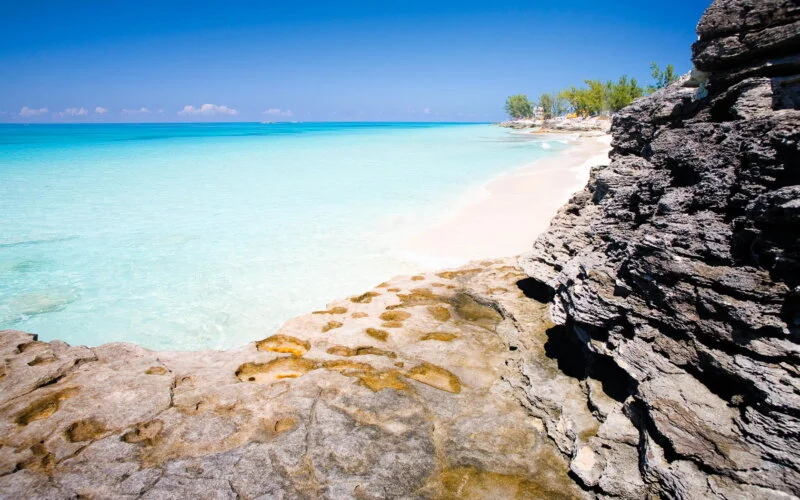 One Day Trip Bahamas - Image 10