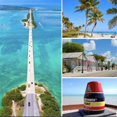 Key West Day Trip: Official Booking Center at Bayside Marketplace - Image 7