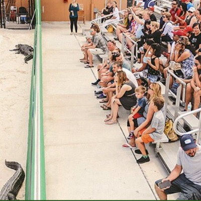 Everglades Tour: Official Booking Center at Bayside Marketplace - Image 5