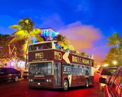 Night Tour
