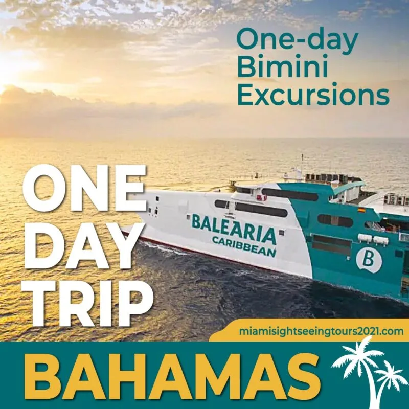 one-day-trip-bahamas - One-day-Bimini-excursions