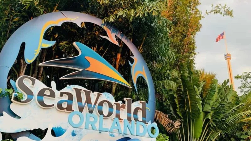 Sea World Orlando - Image 4
