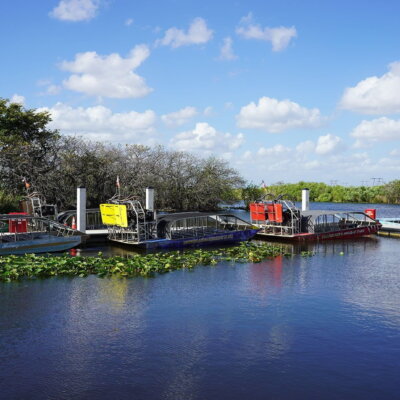 Everglades Tour: Official Booking Center at Bayside Marketplace - Image 9