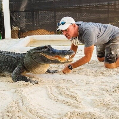 Everglades Tour: Official Booking Center at Bayside Marketplace - Image 10