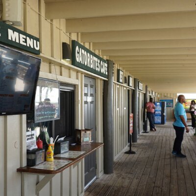 Everglades Tour: Official Booking Center at Bayside Marketplace - Image 8