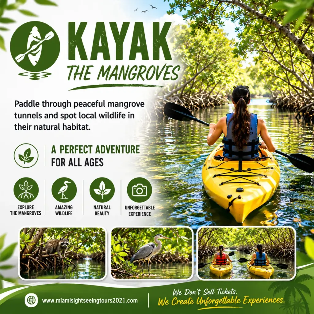 Kayak the Mangroves Adventure – Miami Eco Tour