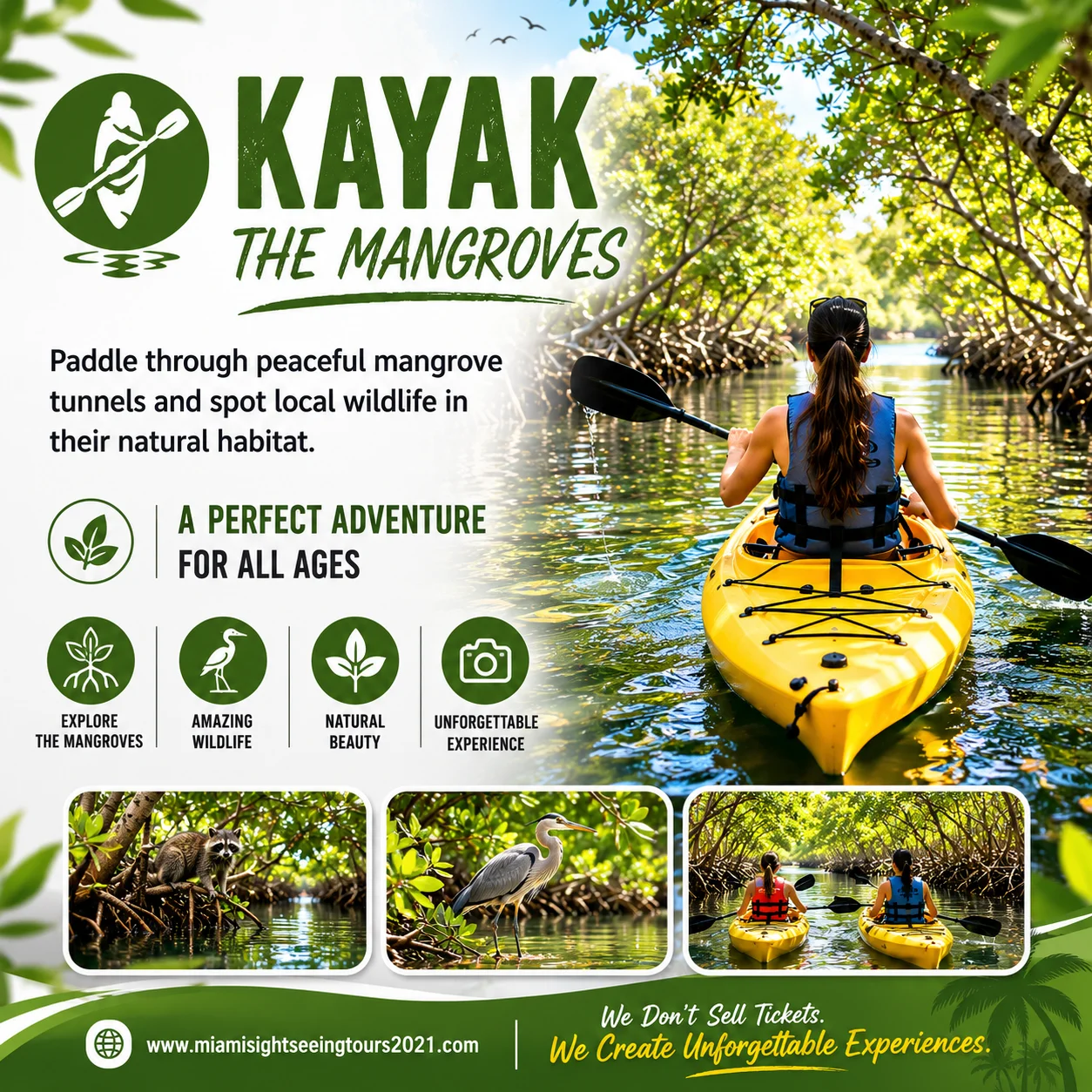 Kayak the Mangroves Adventure – Miami Eco Tour